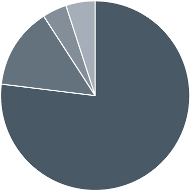 Pie Chart 1