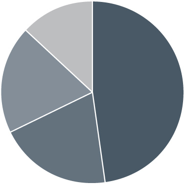 Pie Chart 2